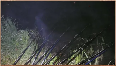 진위천 조황 소식