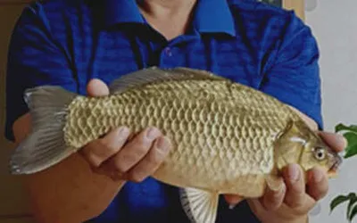 봄바람과 함께한 4월의 조황안내