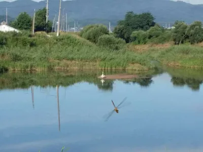 [청미천] 낚시 가능합니다