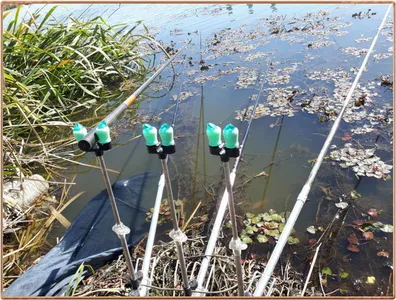 진위천 조황 소식