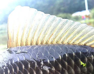 반짝 추위와 함께온 가을 분위기