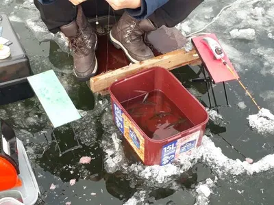 [두창지]빙질상태 매우 좋습니다