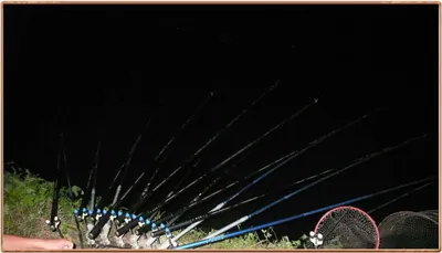 진위천 대박 입니다,