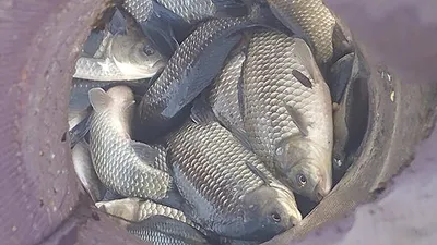 가을대물낚시 만끽하세요