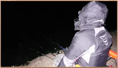 진위천 조황 소식