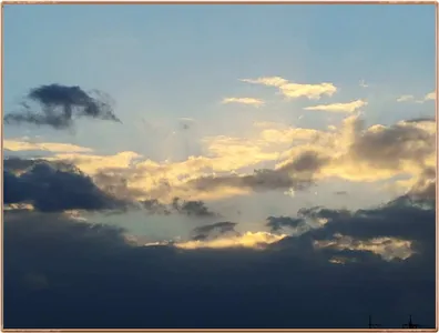 진위천 조황 소식