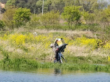 조행인가 고행인가