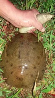 ㅇㅣ거 어느분이  좋아 한다고 보았는데 ㅡㅡ