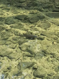 물가가 그립네요 ~~