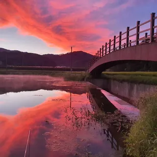 물가에서 본 아침풍경