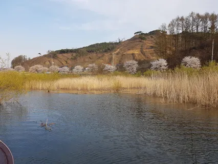 분위기 이보다 더좋을 수 가 없네요