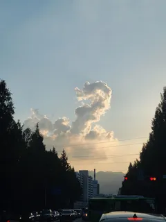 구름모양이 용같네요