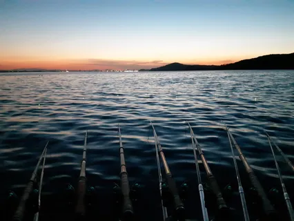 평택호 해지기직전 캐미불 밝히고