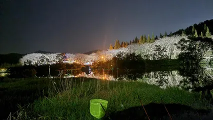 광주광역시   대물터