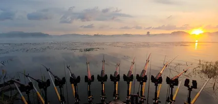 어느 물가의 아침