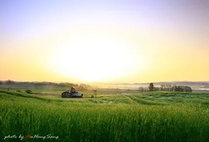 안성목장의 아침