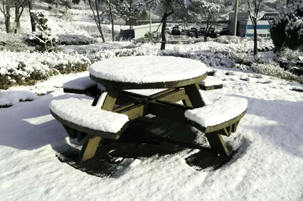 주인을 기다리며