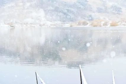 새해 복 많이 받으세요 * ~