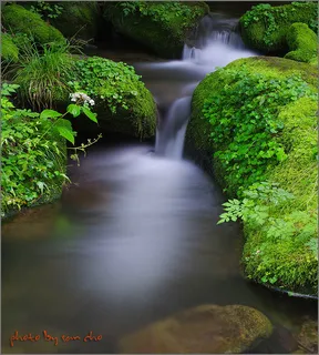 바람의 언덕&상동이끼*^^*