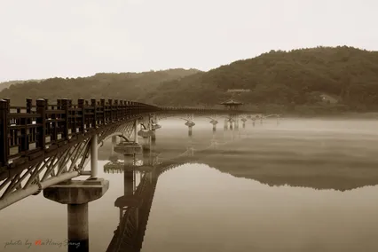 물안개가 가득한 곳