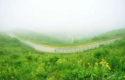 보현산 코스모스 필 무렵