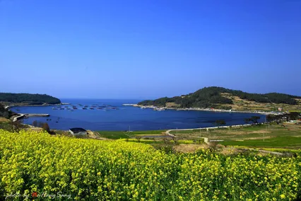 아름다운 섬 청산도