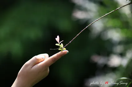 오랜만에 인사 드립니다