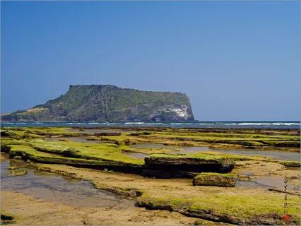 봄 나들이 *^*^*^*