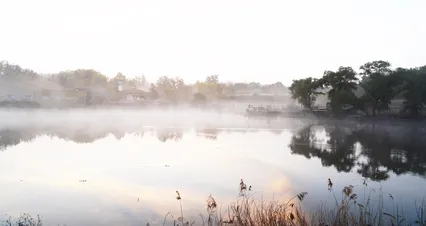 오목천 그리고 무명소류지