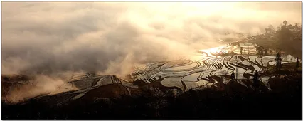 중국  원양제전