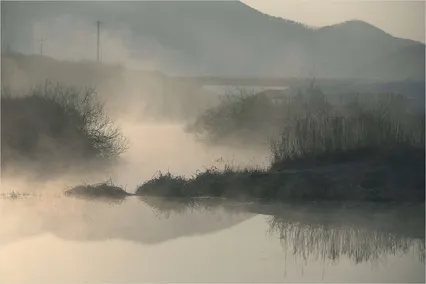 '수로의 물안개'