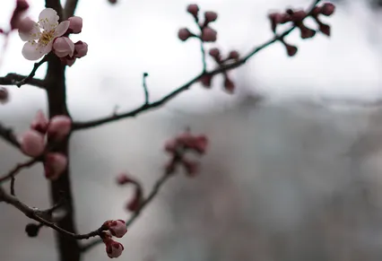 달려오고있는 봄^&^