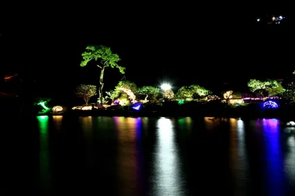 아름다운 곳에서 붕어 낚시는 어떨까요