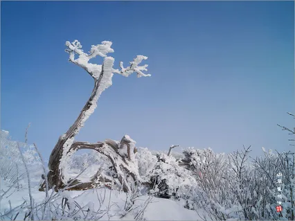 태백산에서 *^*^*
