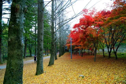가을 풍경입니다