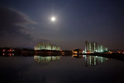 달빛아래의 고독