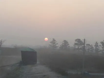 물안개속의 일출중 전기줄에 걸린 태양