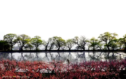 아름다운 저수지