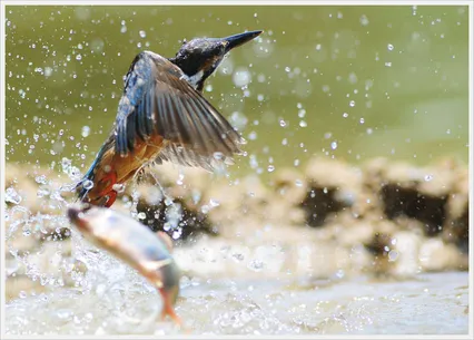 헛탕친놈 살아남은 놈