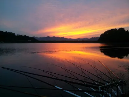 이뻐서 올려봅니다