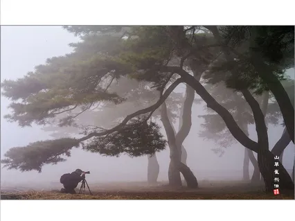 안개낀 솔밭에서 *^*^*^*
