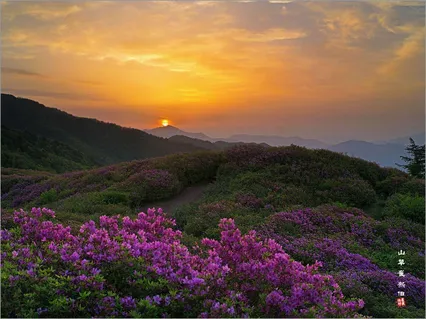 지리산에서 *^*^*^*