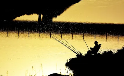 율하 습지 일출