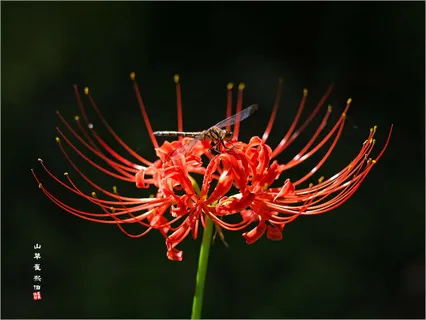 용천사&불갑사 *^*^*