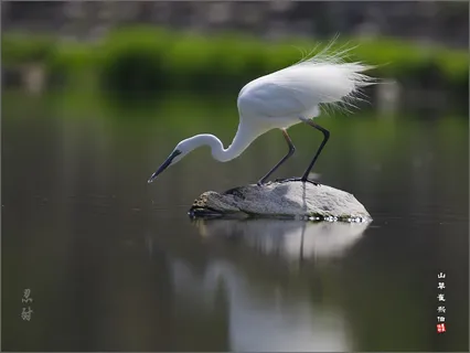 왕숙천에서 *^^*
