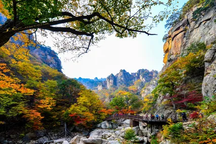 설악산 흘림골에서