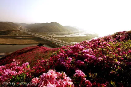 봄 나들이 좋은곳