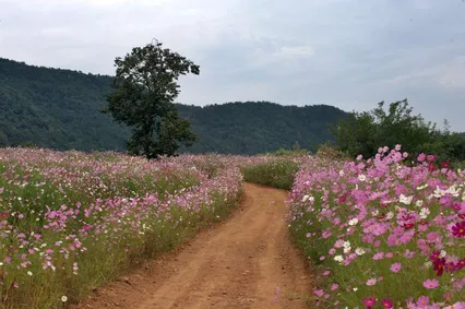 낚시터 가는 길에서