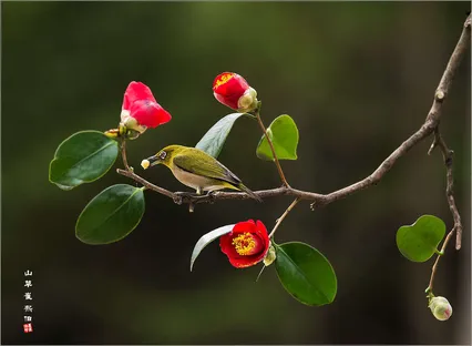대구 수목원에서 *^*^*^*