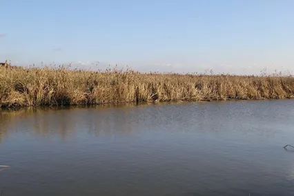 남양만 초 겨울 수로